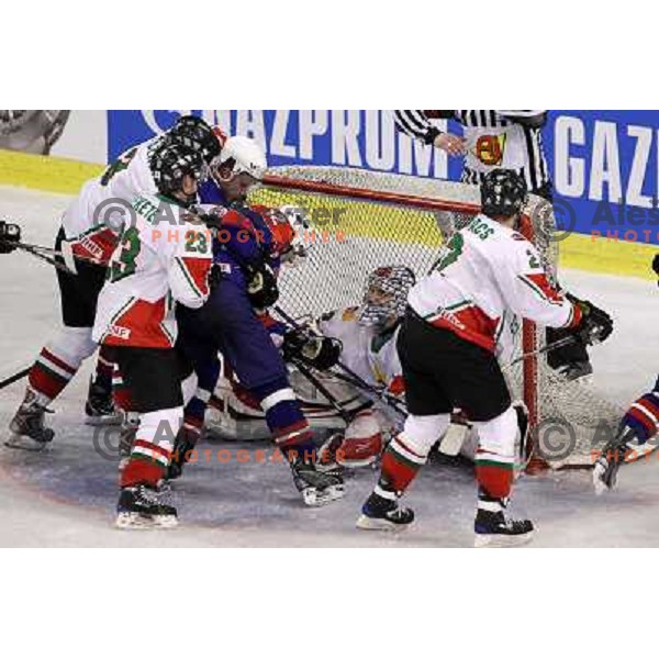 David Rodman in action during ice-hockey match Slovenia-Hungary at IIHF World Championship-Div 1, group B, played in Hala Tivoli, Ljubljana, Slovenia 24.4.2010 