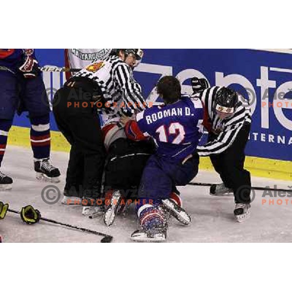 David Rodman in action during ice-hockey match Slovenia-Hungary at IIHF World Championship-Div 1, group B, played in Hala Tivoli, Ljubljana, Slovenia 24.4.2010 