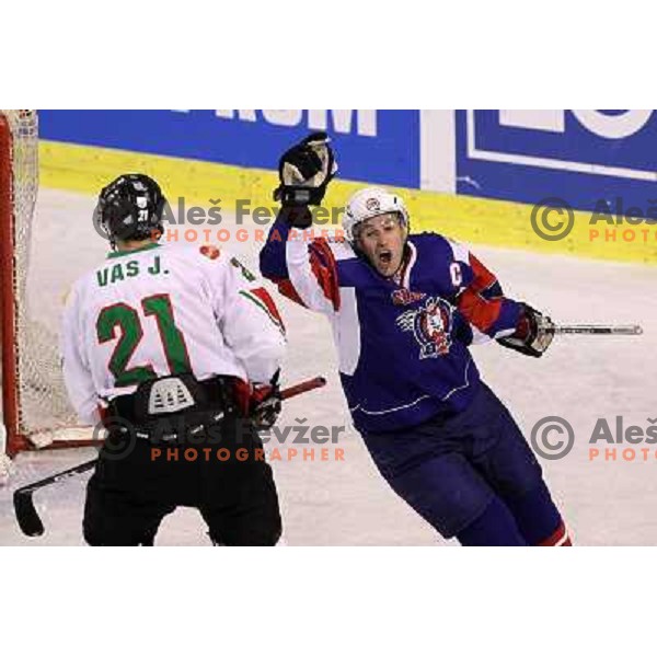 Tomaz Razingar in action during ice-hockey match Slovenia-Hungary at IIHF World Championship-Div 1, group B, played in Hala Tivoli, Ljubljana, Slovenia 24.4.2010 