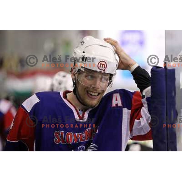 Andrej Tavzelj during victory celebration of Slovenia team after gold medal ice-hockey match Slovenia-Hungary at IIHF World Championship-Div 1, group B, played in Hala Tivoli, Ljubljana, Slovenia 23.4.2010. Slovenia won 4-1 and took first place. 