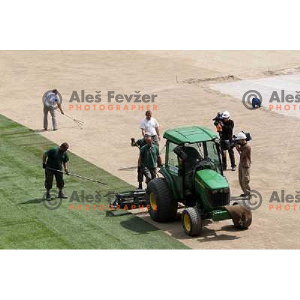 New turf on the pitch at Stozice football stadium in construction, Ljubljana, Slovenia 1.5.2010 