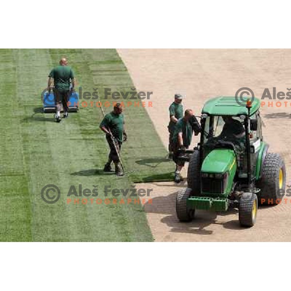 New turf on the pitch at Stozice football stadium in construction, Ljubljana, Slovenia 1.5.2010 