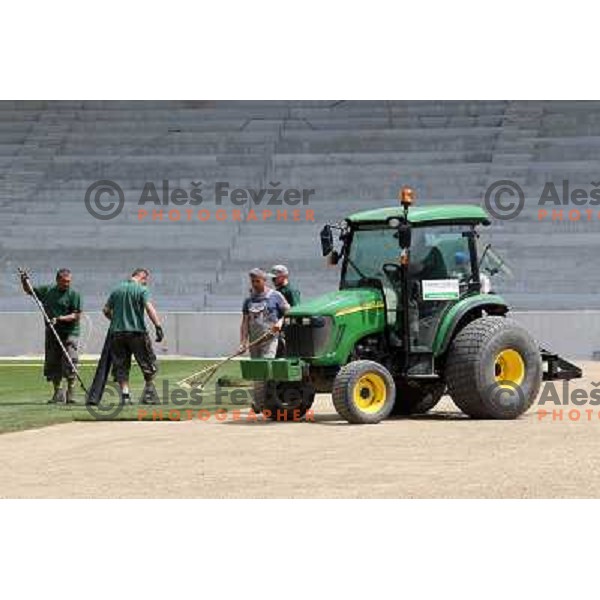 New turf on the pitch at Stozice football stadium in construction, Ljubljana, Slovenia 1.5.2010 