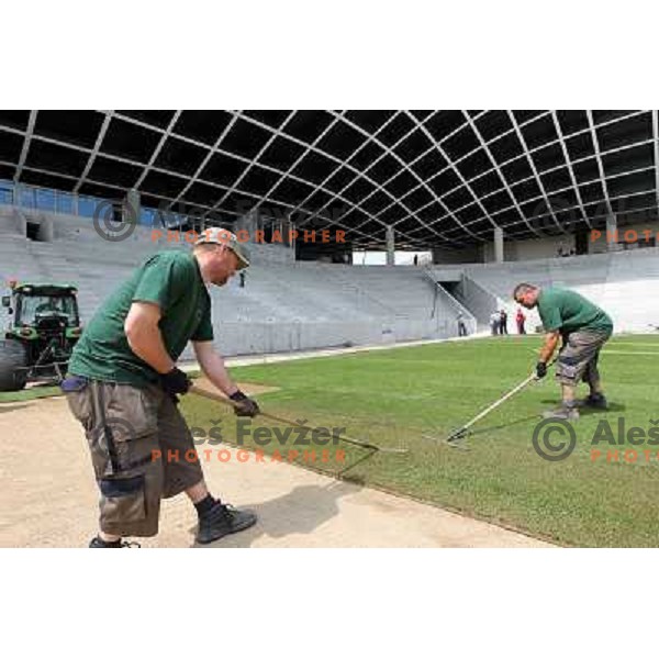 New turf on the pitch at Stozice football stadium in construction, Ljubljana, Slovenia 1.5.2010 