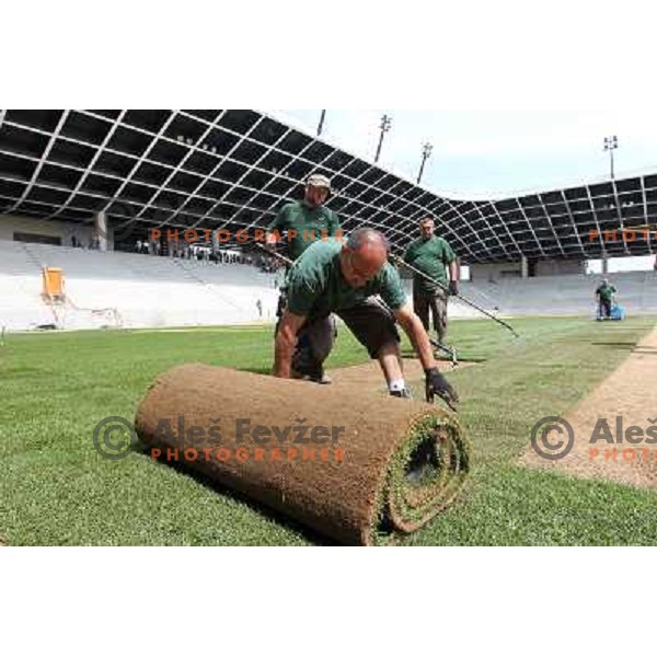 New turf on the pitch at Stozice football stadium in construction, Ljubljana, Slovenia 1.5.2010 