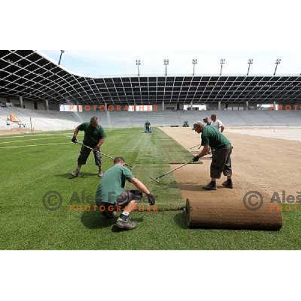 New turf on the pitch at Stozice football stadium in construction, Ljubljana, Slovenia 1.5.2010 