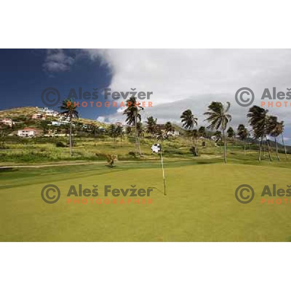 Green of nr.13 (516 yards, par 5), Royal St. Kitts golf course 6859 yards, par 71, Basseterre, St. Kitts and Nevis, West Indies 