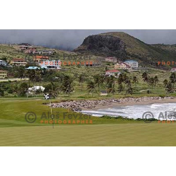 Green of hole nr. 17 (405 yards, par 4), Royal St. Kitts golf course 6859 yards, par 71, Basseterre, St. Kitts and Nevis, West Indies 
