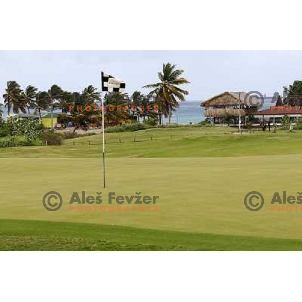  Green of hole nr.4 (197 yards, par 3), Royal St. Kitts golf course 6859 yards, par 71, Basseterre, St. Kitts and Nevis, West Indies 