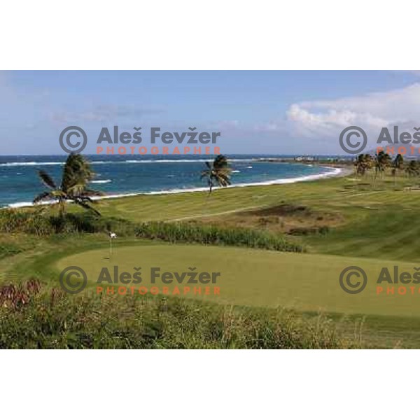  Hole nr.14 ( 332 yards, par 4), Royal St. Kitts golf course 6859 yards, par 71, Basseterre, St. Kitts and Nevis, West Indies 