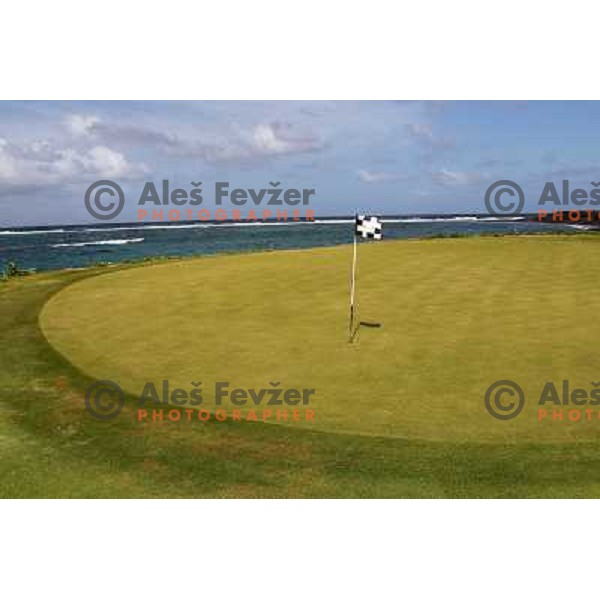 Green of hole nr. 17 (405 yards, par 4), Royal St. Kitts golf course 6859 yards, par 71, Basseterre, St. Kitts and Nevis, West Indies 