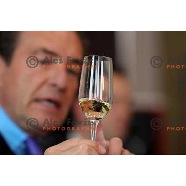  Georg J. Riedel, owner of Riedel Glass Works presenting his fine glasses at degustation in hotel Slon, Ljubljana, Slovenia 12th of May 2010 