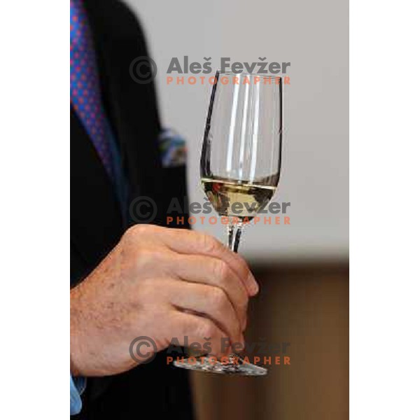  Georg J. Riedel, owner of Riedel Glass Works presenting his fine glasses at degustation in hotel Slon, Ljubljana, Slovenia 12th of May 2010 