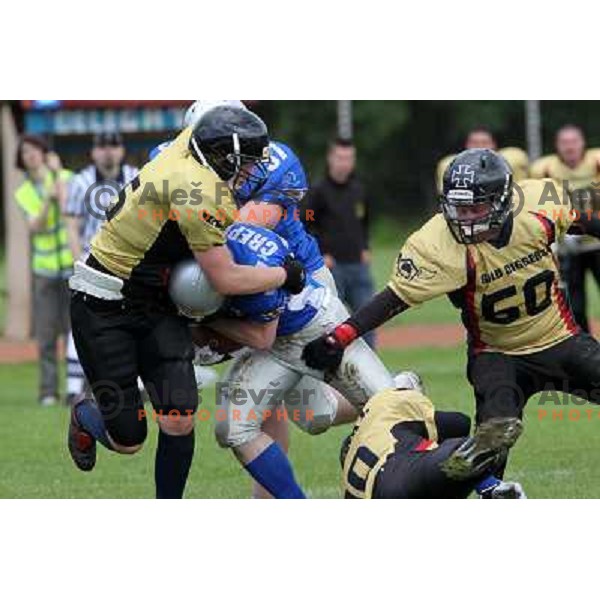 action during american football match Silverhawks Ljubljana- Gold Diggers Zalec in Slovenian Championship, played at Vrhnika Sports Park 22.5.2010 