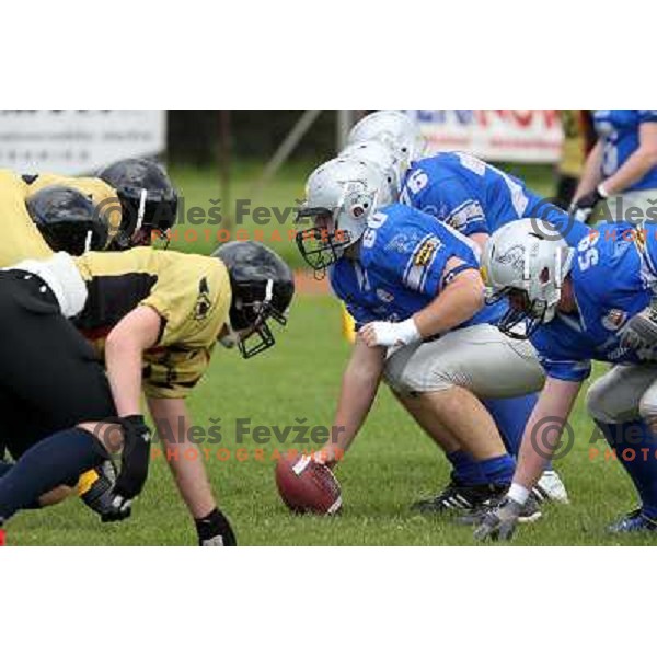  action during american football match Silverhawks Ljubljana- Gold Diggers Zalec in Slovenian Championship, played at Vrhnika Sports Park 22.5.2010 