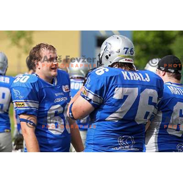  action during american football match Silverhawks Ljubljana- Gold Diggers Zalec in Slovenian Championship, played at Vrhnika Sports Park 22.5.2010 