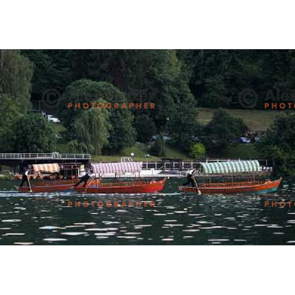 Pletna boats having a race during Opening ceremony of Rowing World Cup Bled 2010 in Zdraviliski park , Bled, Slovenia 27.5.2010 