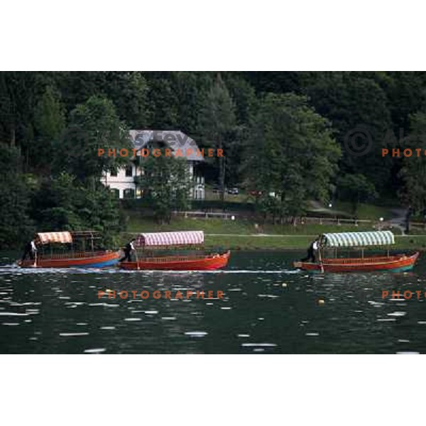 Pletna boats having a race during Opening ceremony of Rowing World Cup Bled 2010 in Zdraviliski park , Bled, Slovenia 27.5.2010 