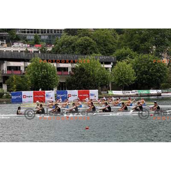 Rowing World Cup, Bled, Slovenia 28.5.2010 