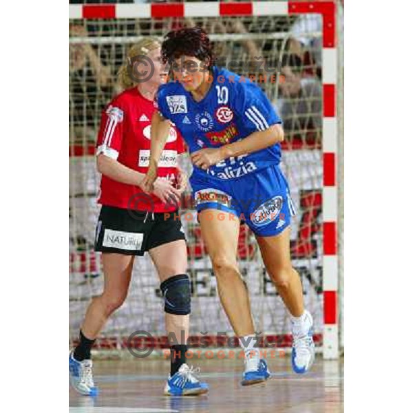 Logvin in action during handball match Krim Eta Malizia- Slagelse FH in Final of EHF Championsleague, played at Kodeljevo Hall, Ljubljana, Slovenia 22.5.2004. Slagelse FH won 36-32 and became a Champion 