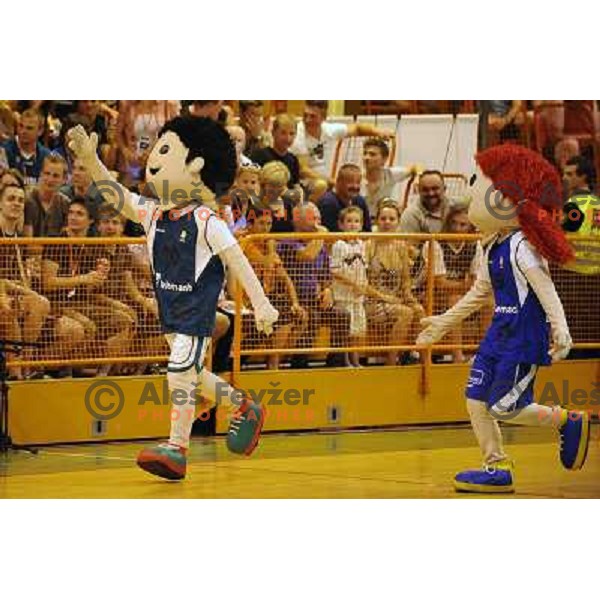  at the basketball game Slovenia - Macedonia, friendly match before the FIBA World Championship Turkey 2010, Ptuj 