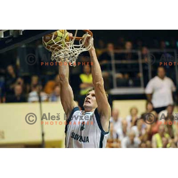 Gasper Vidmar at the basketball game Slovenia - Macedonia, friendly match before the FIBA World Championship Turkey 2010, Ptuj 