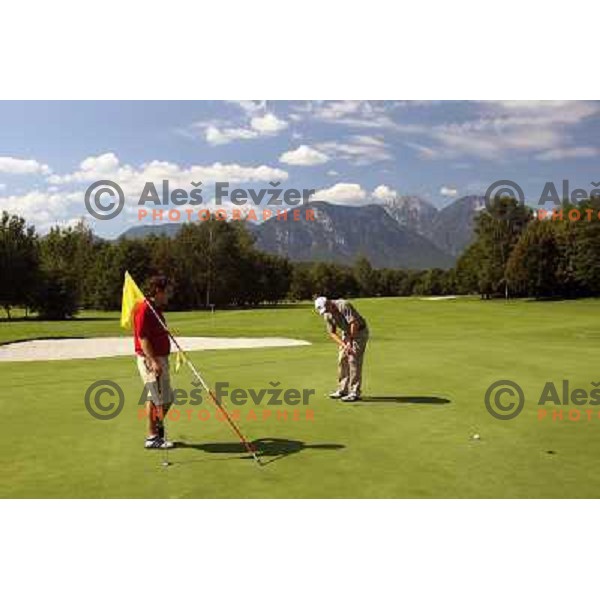 Putting at 8 th green