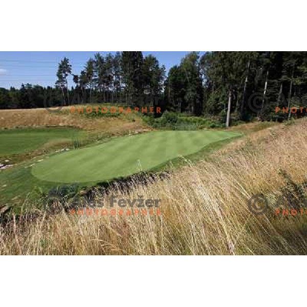 Green of hole nr. 16 at Diners golf & country club, Smlednik, Slovenia on 8th of July 2010 