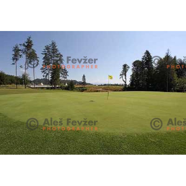 Green of hole nr. 14 at Diners golf & country club, Smlednik, Slovenia on 8th of July 2010 