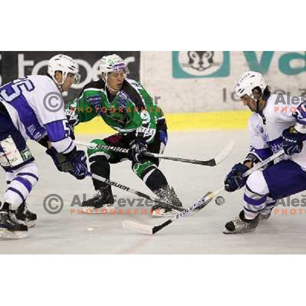 Sami Ryhanen of Tilia Olimpija and Frank Banham of Medvescak in action during preseason friendly ice-hockey match Tilia Olimpija- Medvescak, played in Hala Tivoli, Ljubljana, Slovenia on August 25, 2010 