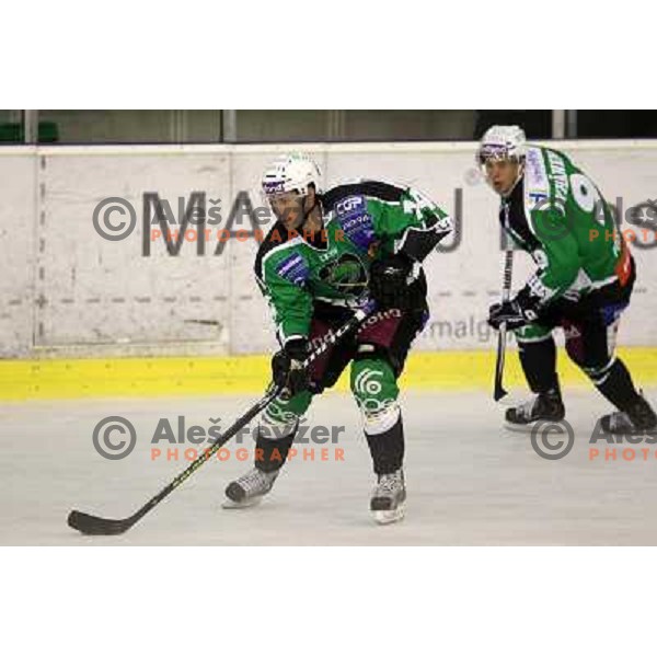 Matej Hocevar of Tilia Olimpija in action during preseason friendly ice-hockey match Tilia Olimpija- Medvescak, played in Hala Tivoli, Ljubljana, Slovenia on August 25, 2010 