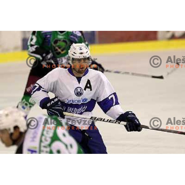 Ivan Sijan of Medvescak in action during preseason friendly ice-hockey match Tilia Olimpija- Medvescak, played in Hala Tivoli, Ljubljana, Slovenia on August 25, 2010 