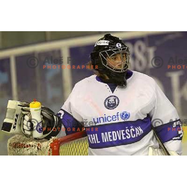 Robert Kristan of Medvescak in action during preseason friendly ice-hockey match Tilia Olimpija- Medvescak, played in Hala Tivoli, Ljubljana, Slovenia on August 25, 2010 