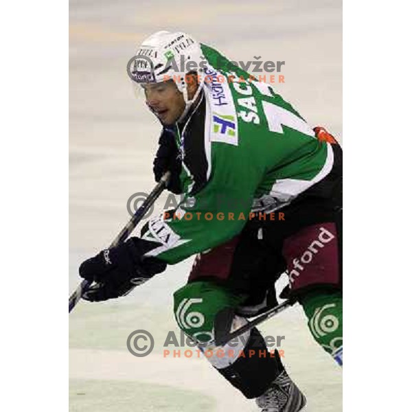 Petr Sachl of Tilia Olimpija in action during preseason friendly ice-hockey match Tilia Olimpija- Medvescak, played in Hala Tivoli, Ljubljana, Slovenia on August 25, 2010 