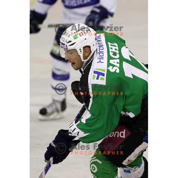 Petr Sachl of Tilia Olimpija in action during preseason friendly ice-hockey match Tilia Olimpija- Medvescak, played in Hala Tivoli, Ljubljana, Slovenia on August 25, 2010 