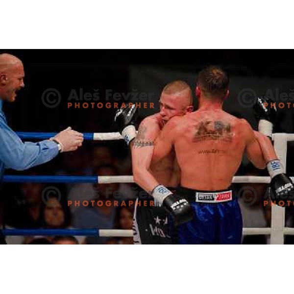 Dejan Zavec, Rafal Jackiewicz at the boxing match Dejan Zavec vs Rafal Jackiewicz for the defense of IBF world champion title in welterweight, 04.09.2010 Stozice arena, Ljubljana, Slovenia 