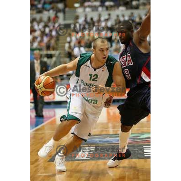 Marko Milic vs Dwyane Wade