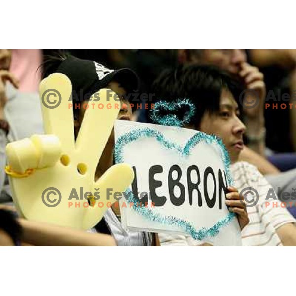 LeBron James fan