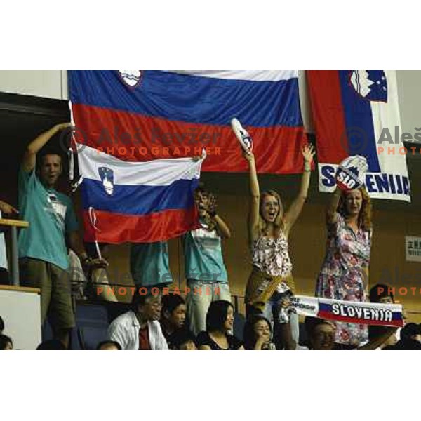 Slovenia fans