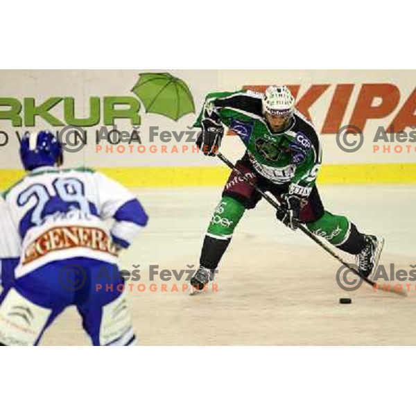 Ziga Pance in action during ice-hockey match Tilia Olimpija-KHL Medvescak in round 3 of EBEL league, played in Hala Tivoli, Ljubljana, Slovenia on September 17, 2010 