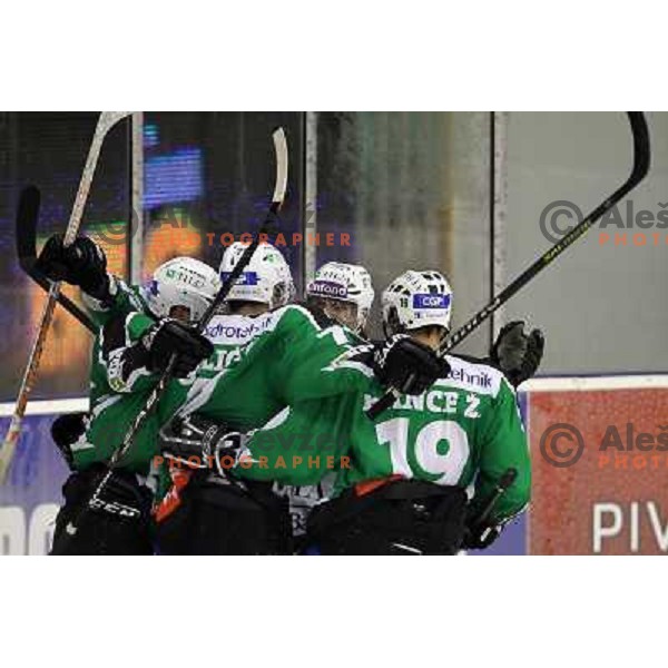 Bostjan Golicic, Nejc Berlisk, Ziga Pance celebrate goal during ice-hockey match Tilia Olimpija-KHL Medvescak in round 3 of EBEL league, played in Hala Tivoli, Ljubljana, Slovenia on September 17, 2010 