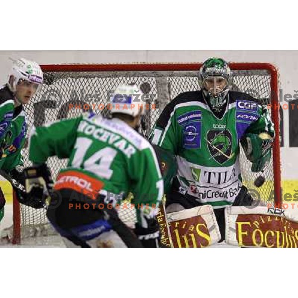 Ales Sila in action during ice-hockey match Tilia Olimpija-KHL Medvescak in round 3 of EBEL league, played in Hala Tivoli, Ljubljana, Slovenia on September 17, 2010 