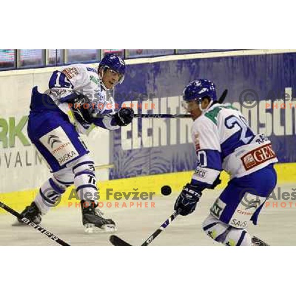 Ryan Kinasewich in action during ice-hockey match Tilia Olimpija-KHL Medvescak in round 3 of EBEL league, played in Hala Tivoli, Ljubljana, Slovenia on September 17, 2010 