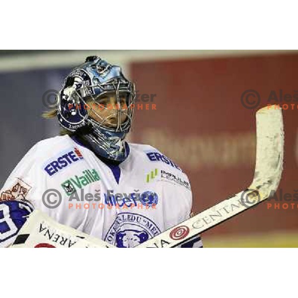 Robert Kristan in action during ice-hockey match Tilia Olimpija-KHL Medvescak in round 3 of EBEL league, played in Hala Tivoli, Ljubljana, Slovenia on September 17, 2010 