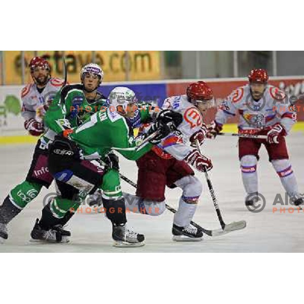  Domen Vedlin of Tilia Olimpija and Klemen Pretnar of Acroni Jesenice in action during ice-hockey match Tilia Olimpija- Acroni Jesenice in round 6 of EBEL league, played in Hala Tivoli, Ljubljana, Slovenia on September 26, 2010 