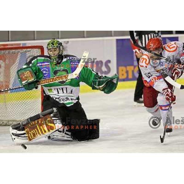 Ales Sila of Tilia Olimpija in action during ice-hockey match Tilia Olimpija- Acroni Jesenice in round 6 of EBEL league, played in Hala Tivoli, Ljubljana, Slovenia on September 26, 2010 