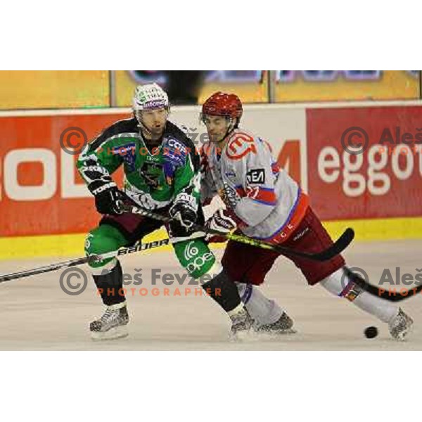 Andrej Hebar of Tilia Olimpija and Klemen Pretnar of Acroni Jesenice during ice-hockey match Tilia Olimpija- Acroni Jesenice in round 6 of EBEL league, played in Hala Tivoli, Ljubljana, Slovenia on September 26, 2010 