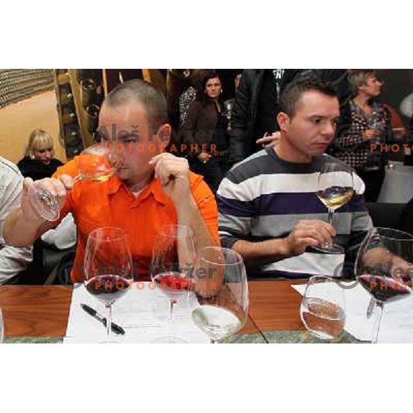 Wine degustation and competition for waiters and bartenders in glass pouring of 1 dcl in E vino bar, Ljubljana, Slovenia on September 27, 2010 