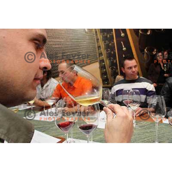 Wine degustation and competition for waiters and bartenders in glass pouring of 1 dcl in E vino bar, Ljubljana, Slovenia on September 27, 2010 