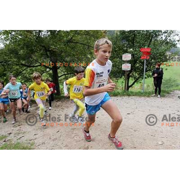 Kids running at 31. Smarna gora mountain race, WMRA Grand Prix- Final, Ljubljana on October 2, 2010 